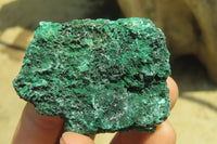 Natural Silky Malachite Specimens x 12 From Kasompe, Congo