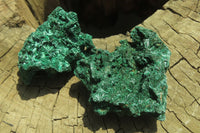 Natural Silky Malachite Specimens x 12 From Kasompe, Congo