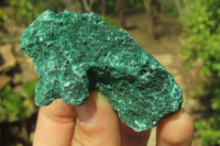 Natural Silky Malachite Specimens x 12 From Kasompe, Congo