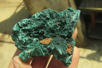 Natural Silky Malachite Specimens x 12 From Kasompe, Congo