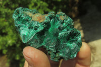 Natural Silky Malachite Specimens x 12 From Kasompe, Congo