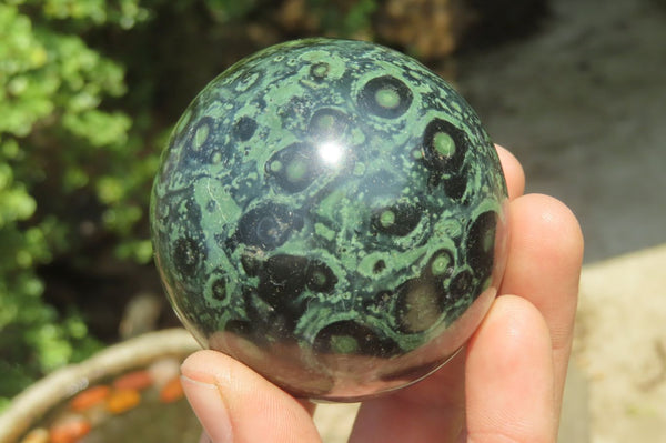 Polished Stromatolite Jasper Spheres x 4 From Madagascar