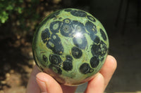 Polished Stromatolite Jasper Spheres x 4 From Madagascar