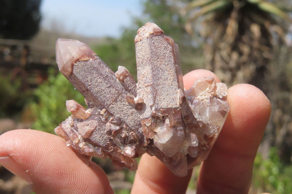 Natural Red Hematoid Quartz Specimens x 35 From Karoi, Zimbabwe