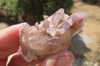 Natural Red Hematoid Quartz Specimens x 35 From Karoi, Zimbabwe