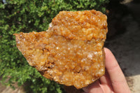 Natural Golden Limonite Quartz Clusters x 3 From Zambia