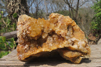 Natural Golden Limonite Quartz Clusters x 3 From Zambia