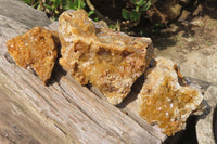 Natural Golden Limonite Quartz Clusters x 3 From Zambia