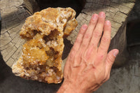 Natural Golden Limonite Quartz Clusters x 3 From Zambia