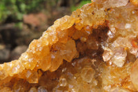 Natural Golden Limonite Quartz Clusters x 3 From Zambia