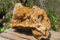 Natural Golden Limonite Quartz Clusters x 3 From Zambia