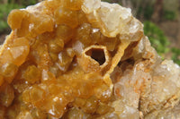 Natural Golden Limonite Quartz Clusters x 3 From Zambia