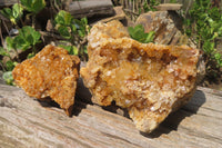 Natural Golden Limonite Quartz Clusters x 3 From Zambia