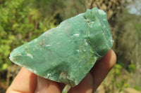 Natural Jade Cobbed Specimens x 24 From Swaziland