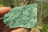 Natural Jade Cobbed Specimens x 24 From Swaziland