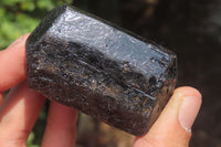 Natural Alluvial Schorl Black Tourmaline Crystals x 12 From Zimbabwe