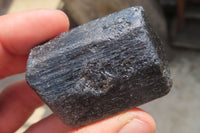 Natural Alluvial Schorl Black Tourmaline Crystals x 12 From Zimbabwe