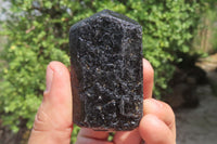 Natural Alluvial Schorl Black Tourmaline Crystals x 12 From Zimbabwe