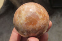 Polished Peach Moonstone Spheres x 6 From Madagascar