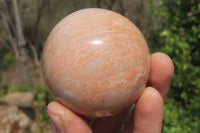 Polished Peach Moonstone Spheres x 6 From Madagascar