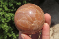 Polished Peach Moonstone Spheres x 6 From Madagascar