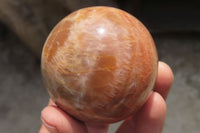 Polished Peach Moonstone Spheres x 6 From Madagascar