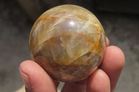 Polished Peach Moonstone Spheres x 6 From Madagascar