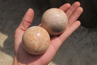 Polished Peach Moonstone Spheres x 6 From Madagascar