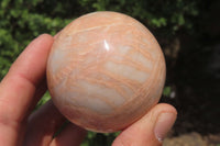 Polished Peach Moonstone Spheres x 6 From Madagascar