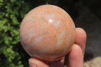 Polished Peach Moonstone Spheres x 6 From Madagascar