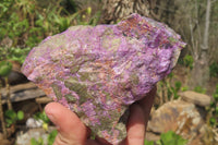 Natural Stichtite Cobbed Specimens x 4 From Barberton, South Africa