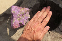 Natural Stichtite Cobbed Specimens x 4 From Barberton, South Africa