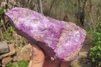 Natural Stichtite Cobbed Specimens x 4 From Barberton, South Africa