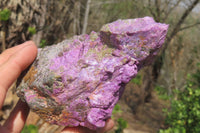 Natural Stichtite Cobbed Specimens x 4 From Barberton, South Africa