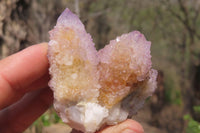 Natural Ametrine Spirit Quartz Clusters x 12 From Boekenhouthoek, South Africa