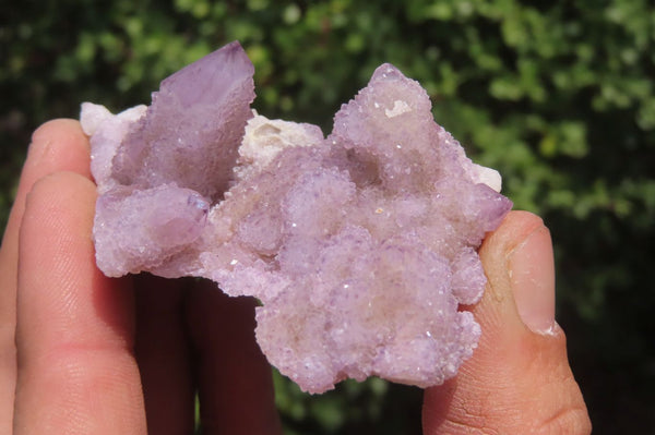 Natural Ametrine Spirit Quartz Clusters x 12 From Boekenhouthoek, South Africa