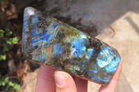 Polished Labradorite Standing Free Forms x 3 From Tulear, Madagascar