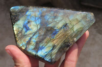 Polished Labradorite Standing Free Forms x 3 From Tulear, Madagascar