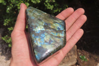 Polished Labradorite Standing Free Forms x 3 From Tulear, Madagascar