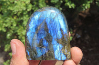 Polished Labradorite Standing Free Forms x 3 From Tulear, Madagascar