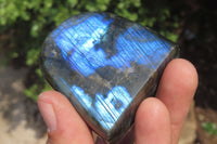 Polished Labradorite Standing Free Forms x 3 From Tulear, Madagascar