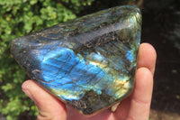 Polished Labradorite Standing Free Forms x 3 From Tulear, Madagascar