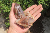 Natural Red Hematoid Quartz Crystals x 6 From Zimbabwe