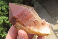 Natural Red Hematoid Quartz Crystals x 6 From Zimbabwe