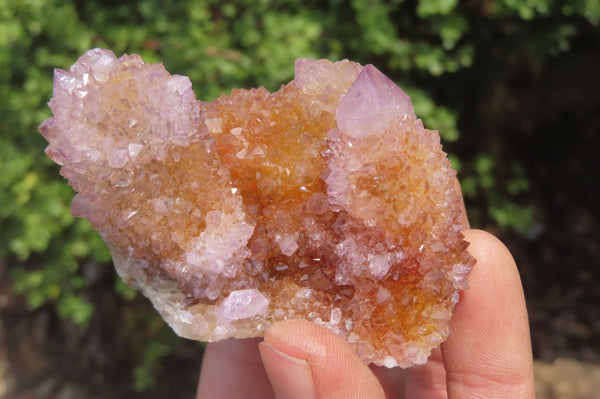 Natural Ametrine Spirit Quartz Clusters x 3 From Boekenhouthoek, South Africa