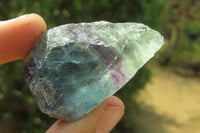 Natural Watermelon Fluorite Cobbed Specimens x 24 From Uis, Namibia