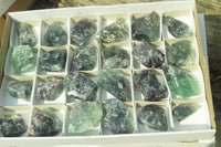 Natural Watermelon Fluorite Cobbed Specimens x 24 From Uis, Namibia