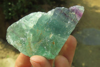 Natural Watermelon Fluorite Cobbed Specimens x 24 From Uis, Namibia