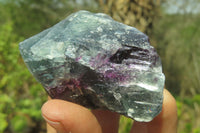 Natural Watermelon Fluorite Cobbed Specimens x 24 From Uis, Namibia