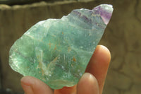 Natural Watermelon Fluorite Cobbed Specimens x 24 From Uis, Namibia